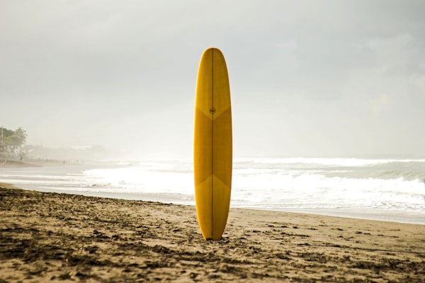 Surf
